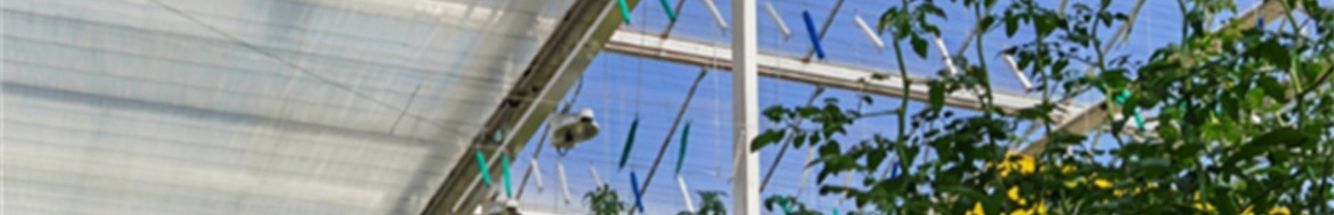 Greenhouse screen system