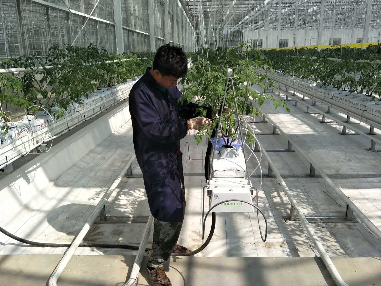 How to Choose the Right Hydroponics System for Your Business Needs