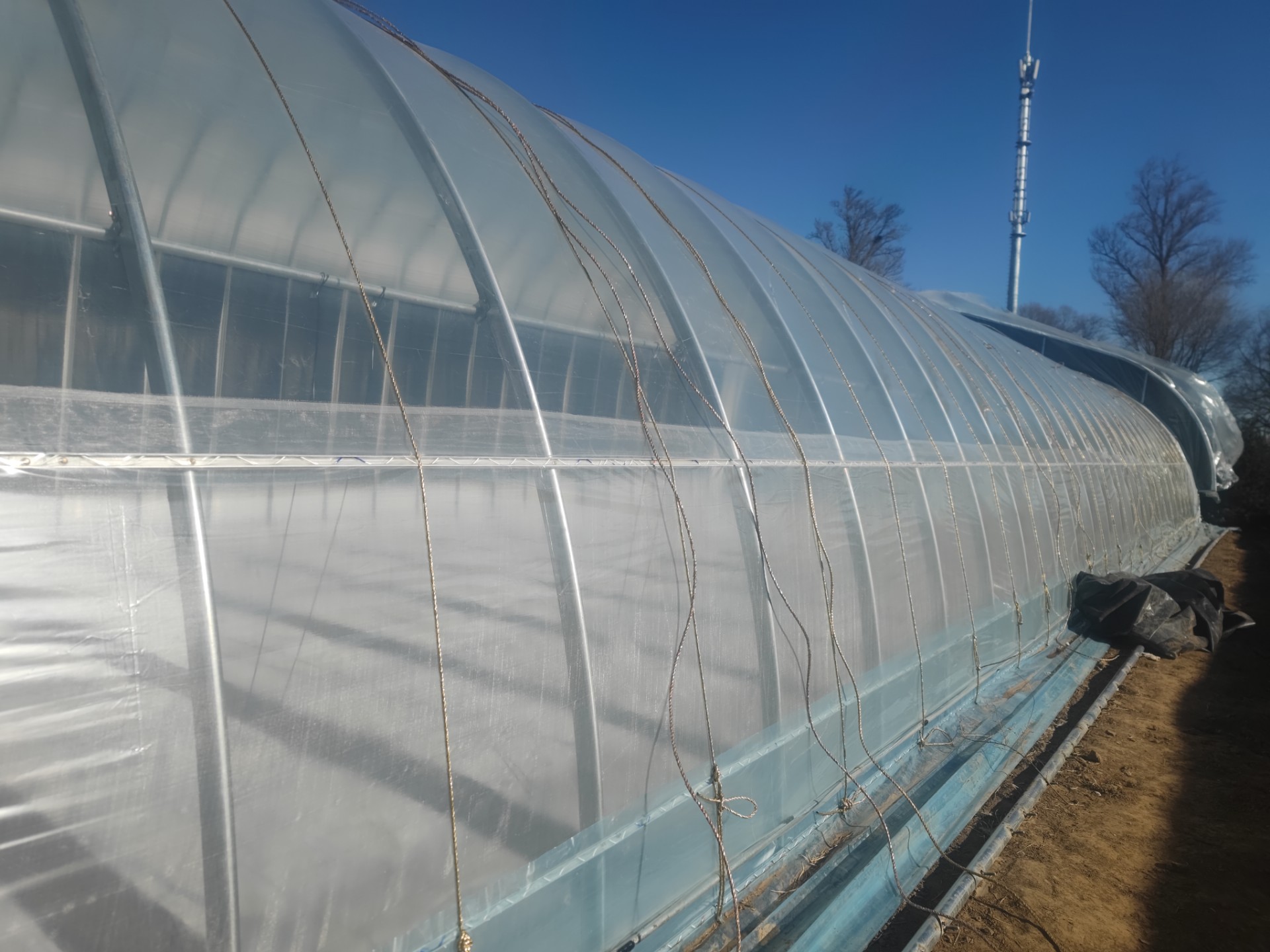 What Makes Polycarbonate Glasshouses the Ideal Choice for Greenhouses?