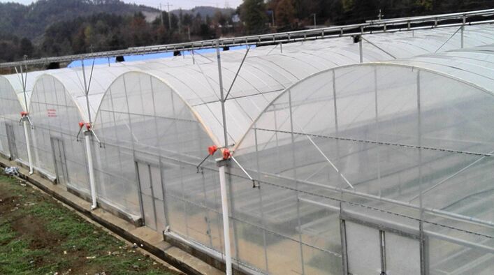 Where to Find High-Quality Polycarbonate Glasshouses at Wholesale Prices