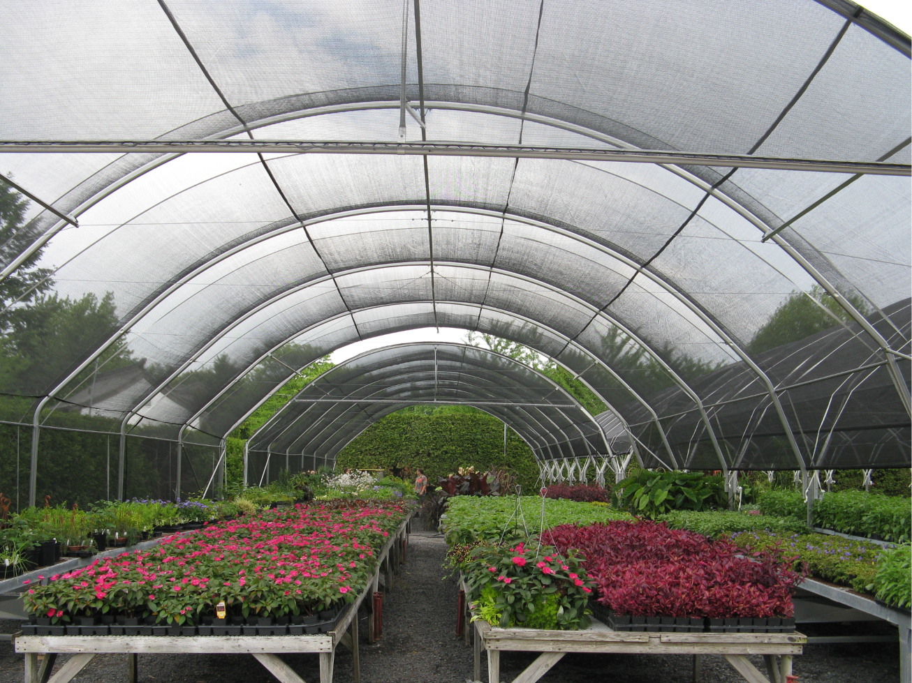 Where to Source High-Quality Indoor Plant Growing Systems for Retail