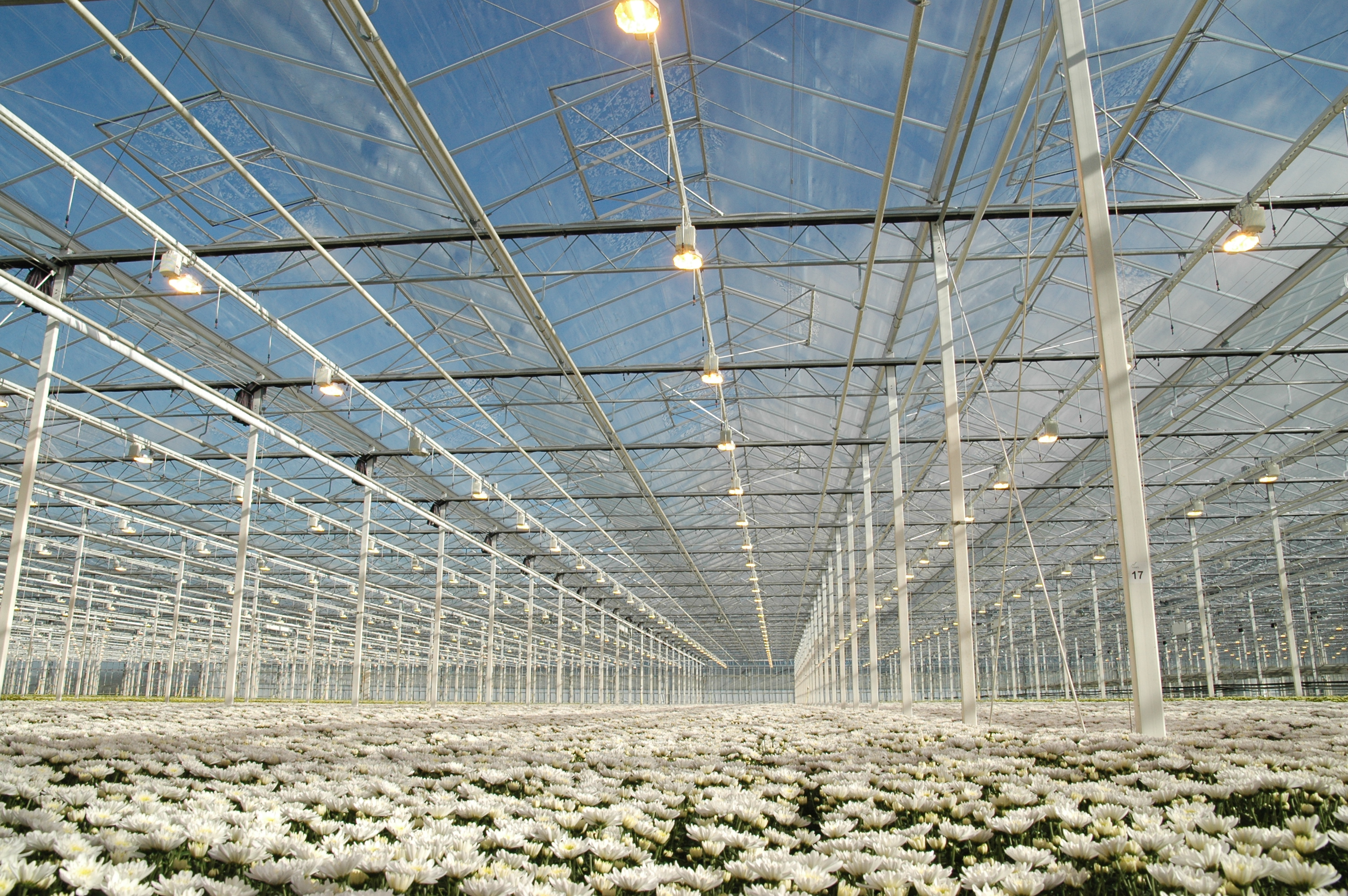 ¿Dónde encontrar productos de ventilación para invernaderos pequeños al por mayor?