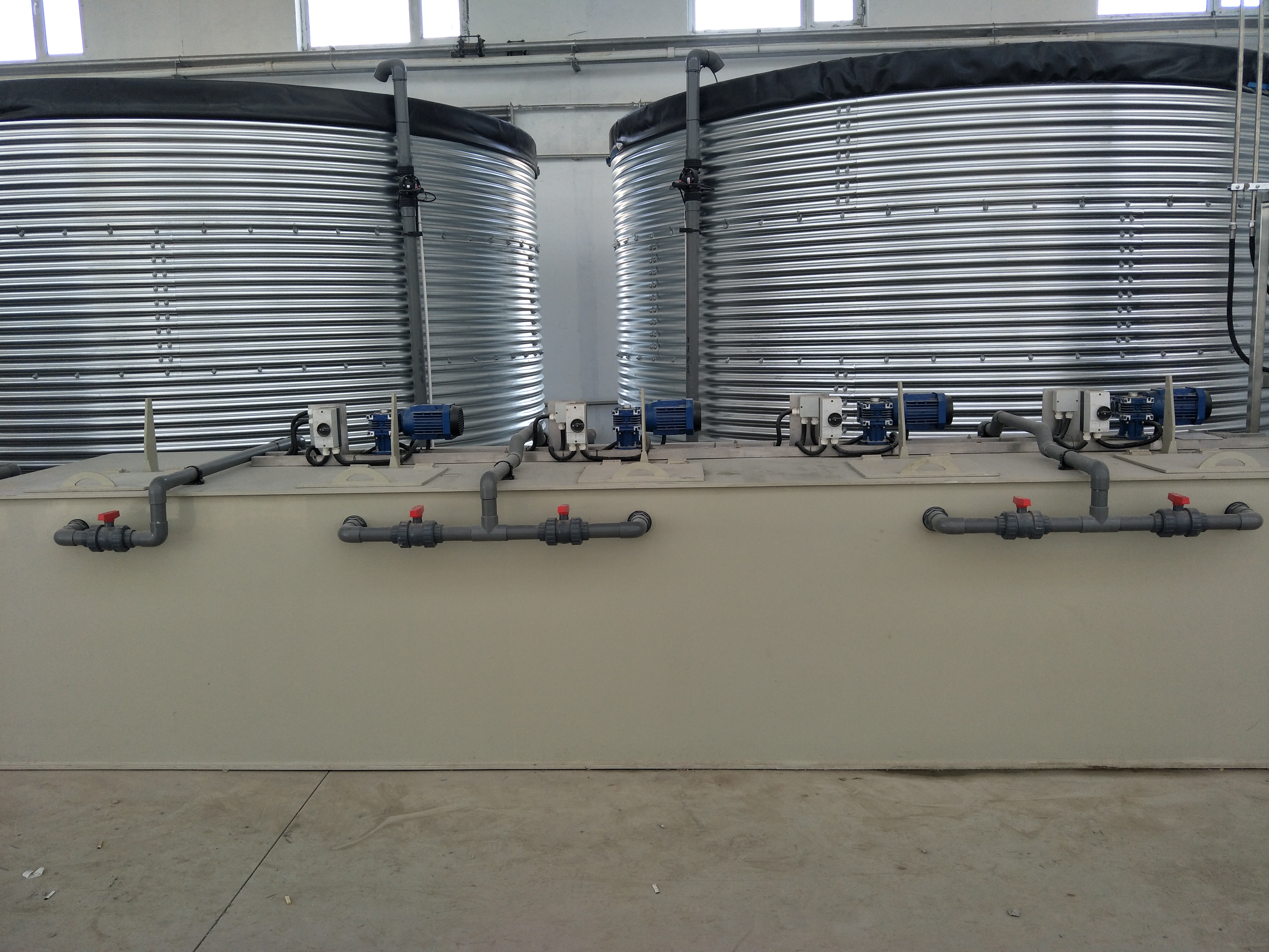 What Are the Latest Innovations in Automatic Water Systems for Greenhouses?