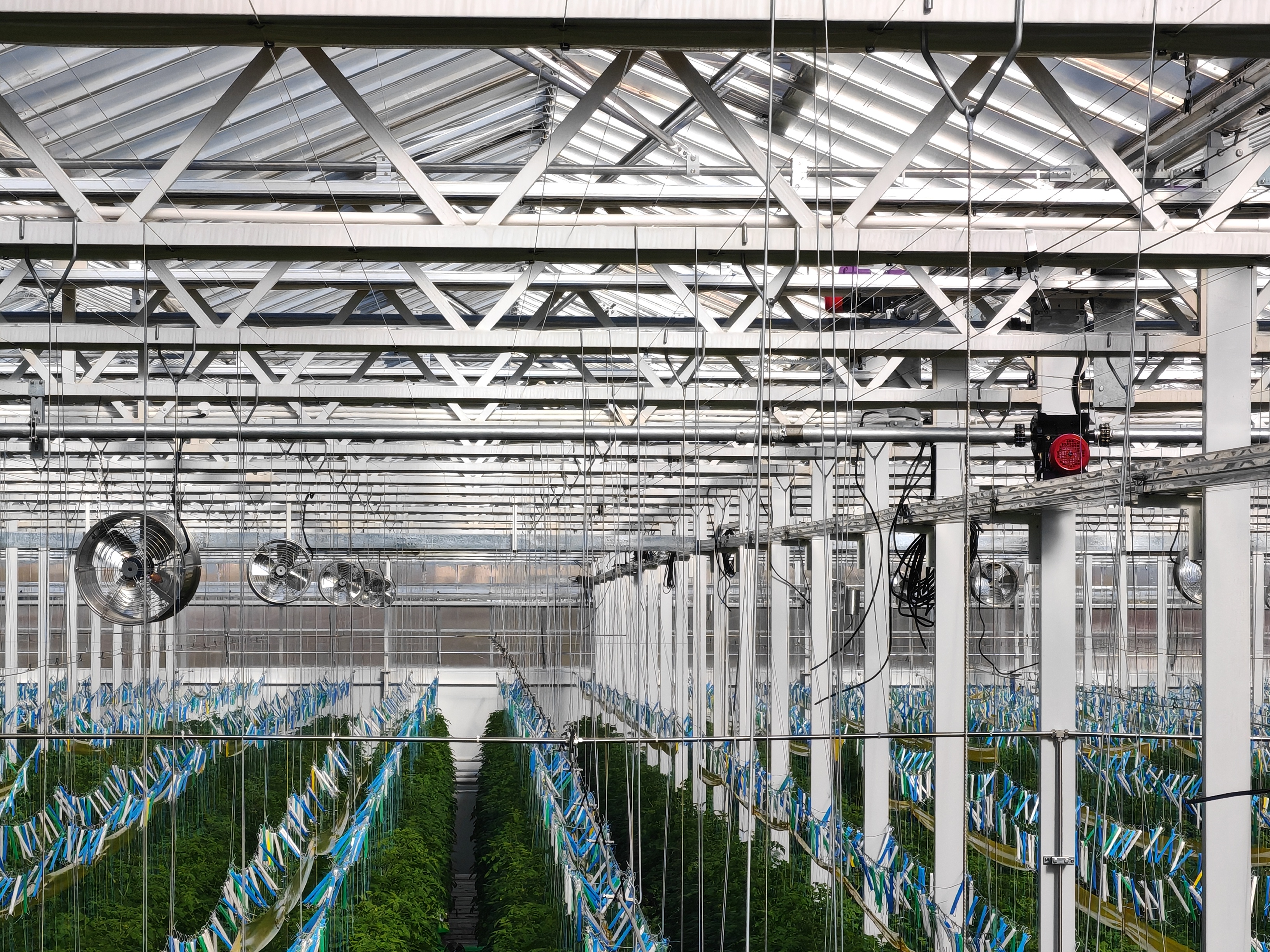 ¿Qué convierte a los kits de arcos para invernadero en un elemento imprescindible para cultivadores profesionales?
