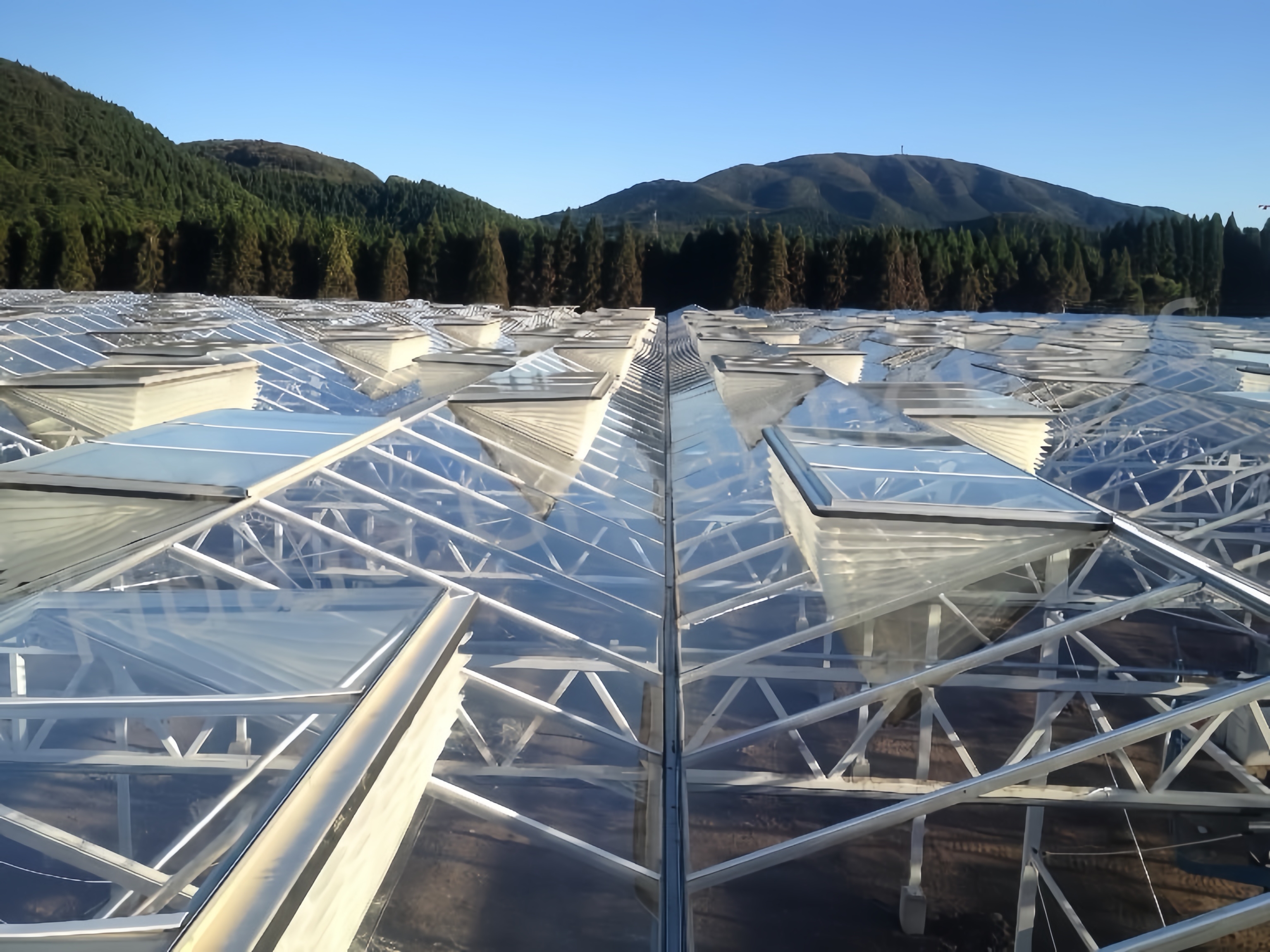 What Are the Latest Innovations in Greenhouse Roof Ventilation Technology?
