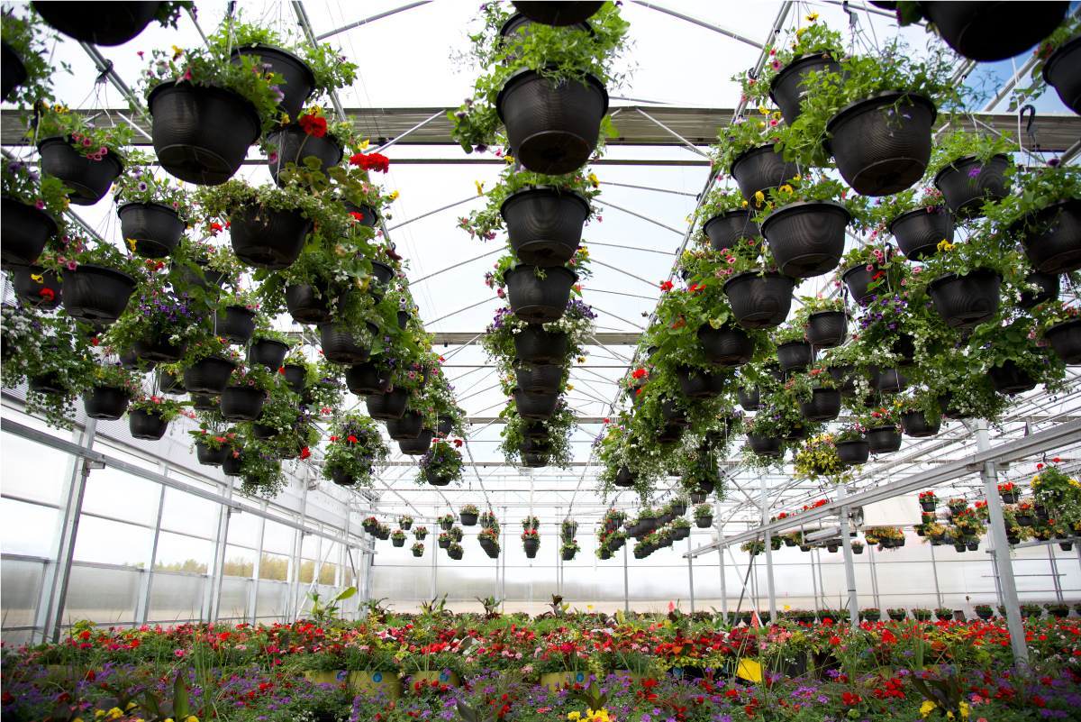 How Indoor Plant Growing Systems Can Enhance Your Product Offerings