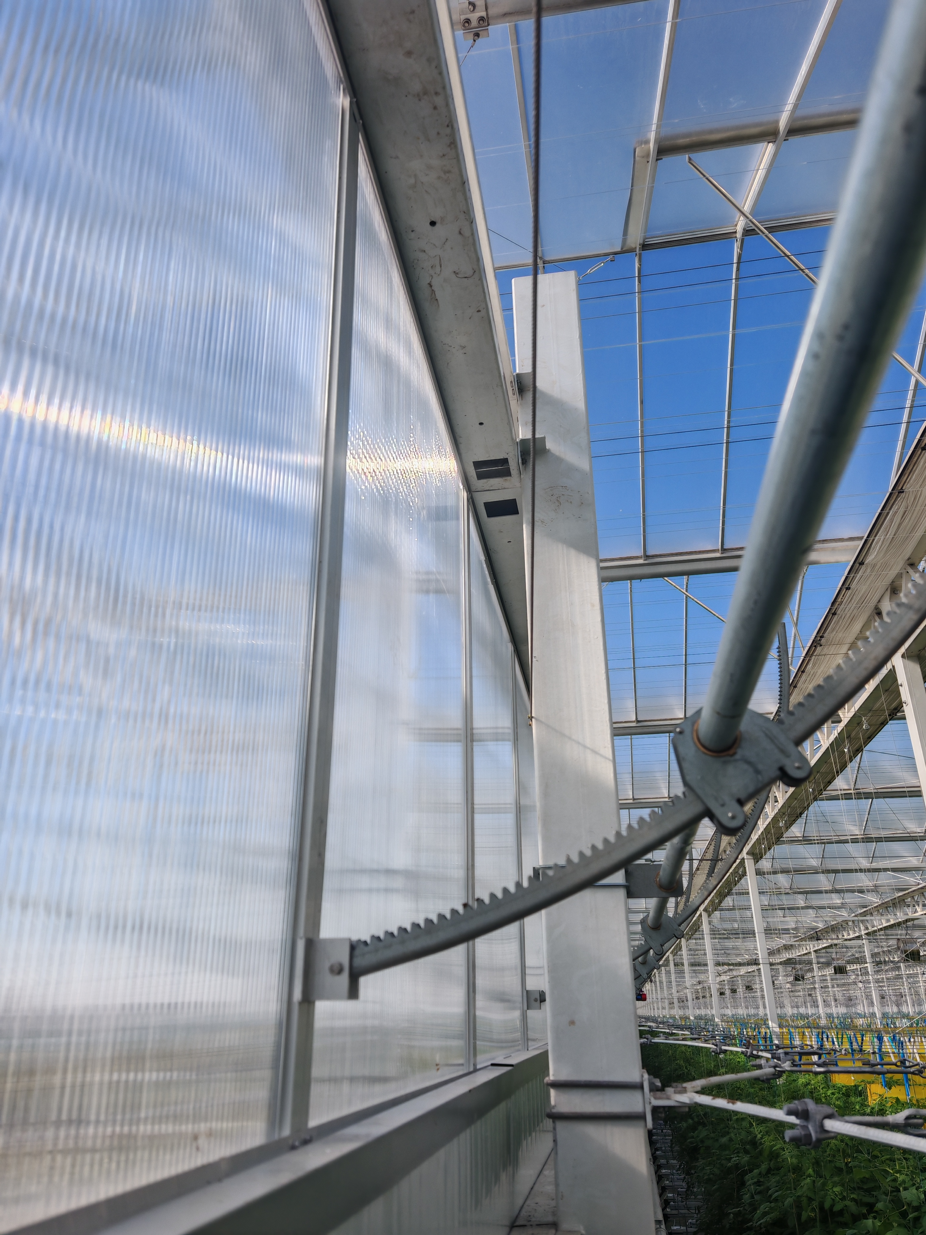 ¿Cómo pueden transformar eficientemente su espacio de cultivo los kits de arcos para invernadero?