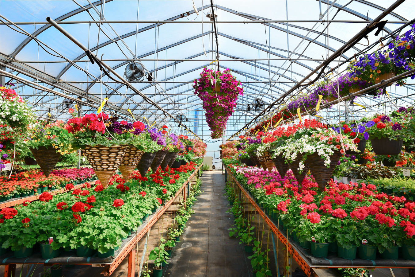 Common Usage Issues in Small Hydroponic Systems and How to Solve Them