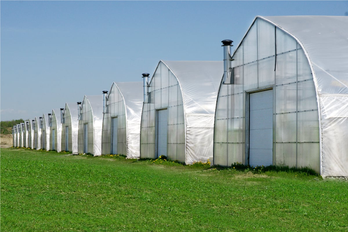 How High Tunnel Greenhouses Enhance Crop Yields and Quality