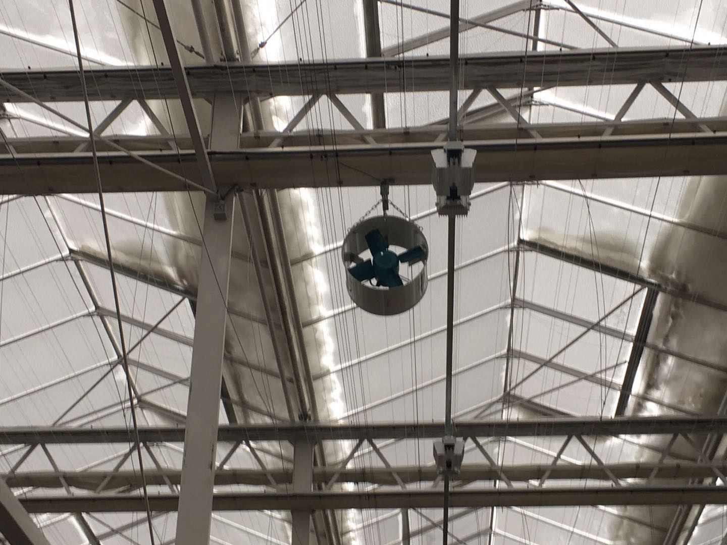 ¿Cómo mejoran los ventiladores solares para ventilación de invernaderos el crecimiento de las plantas?