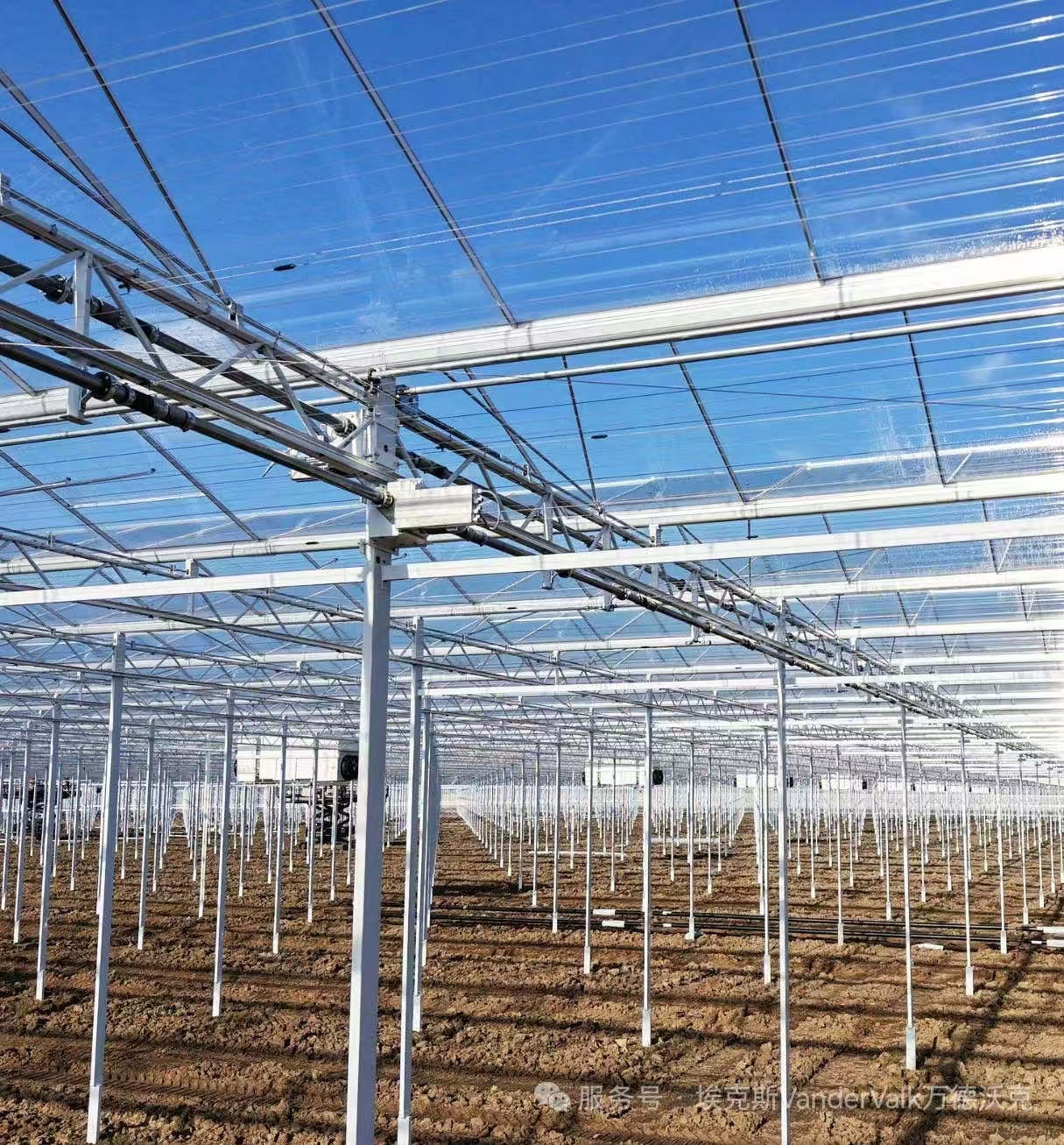 What Features Make a Greenhouse System Ideal for Wholesale Production?