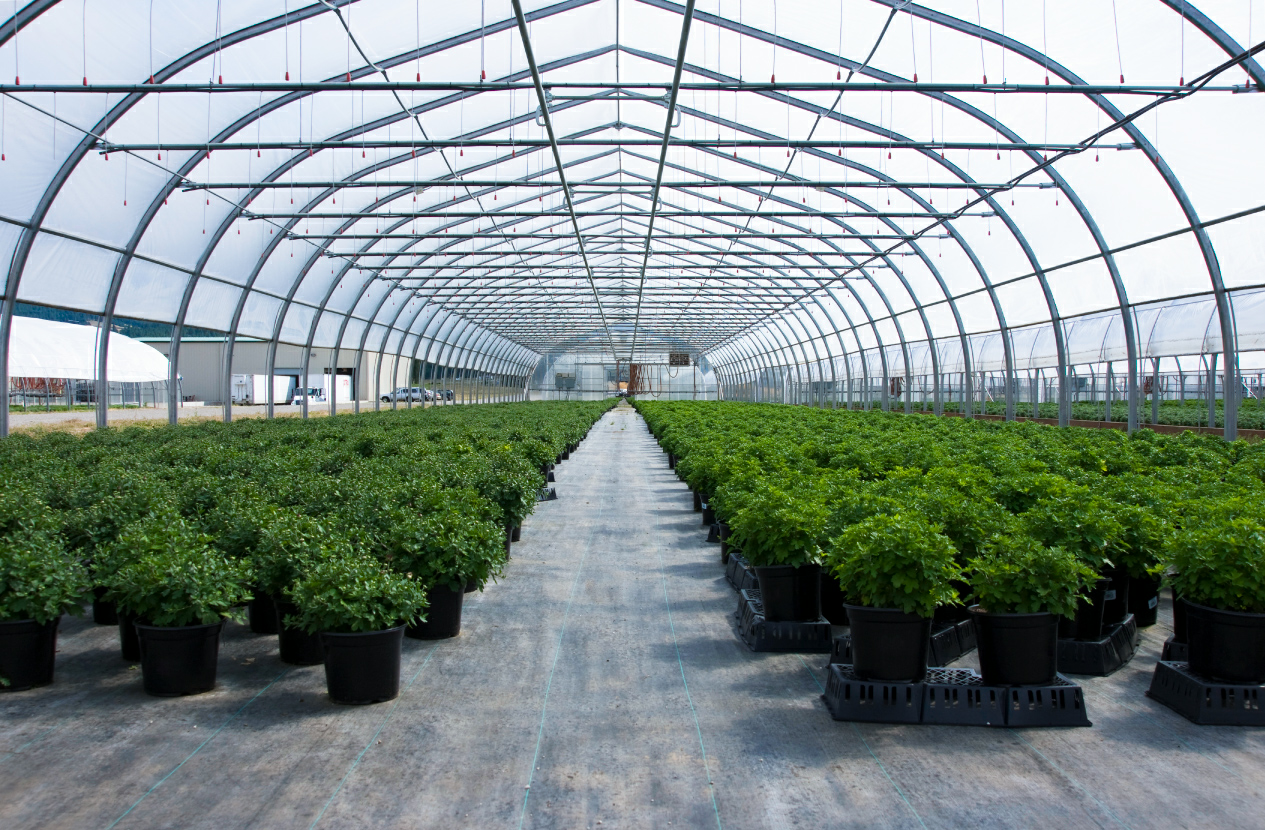 How High Tunnel Greenhouse Kits Enhance Crop Yield and Quality
