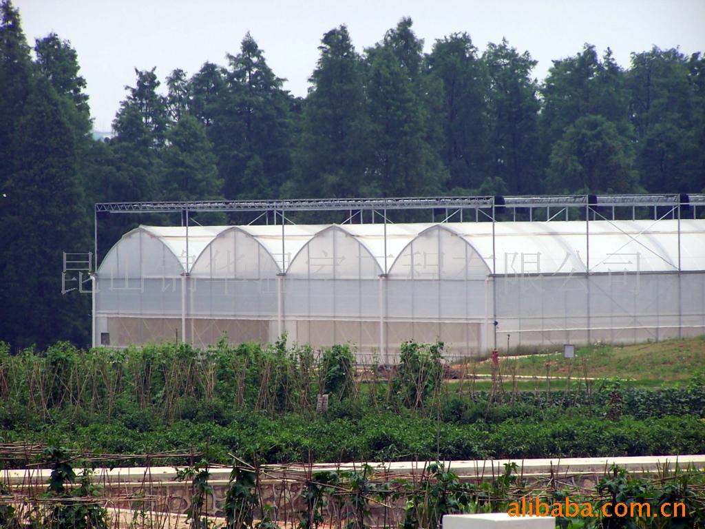 How to Maximize Crop Yield with Polycarbonate Glasshouse Solutions