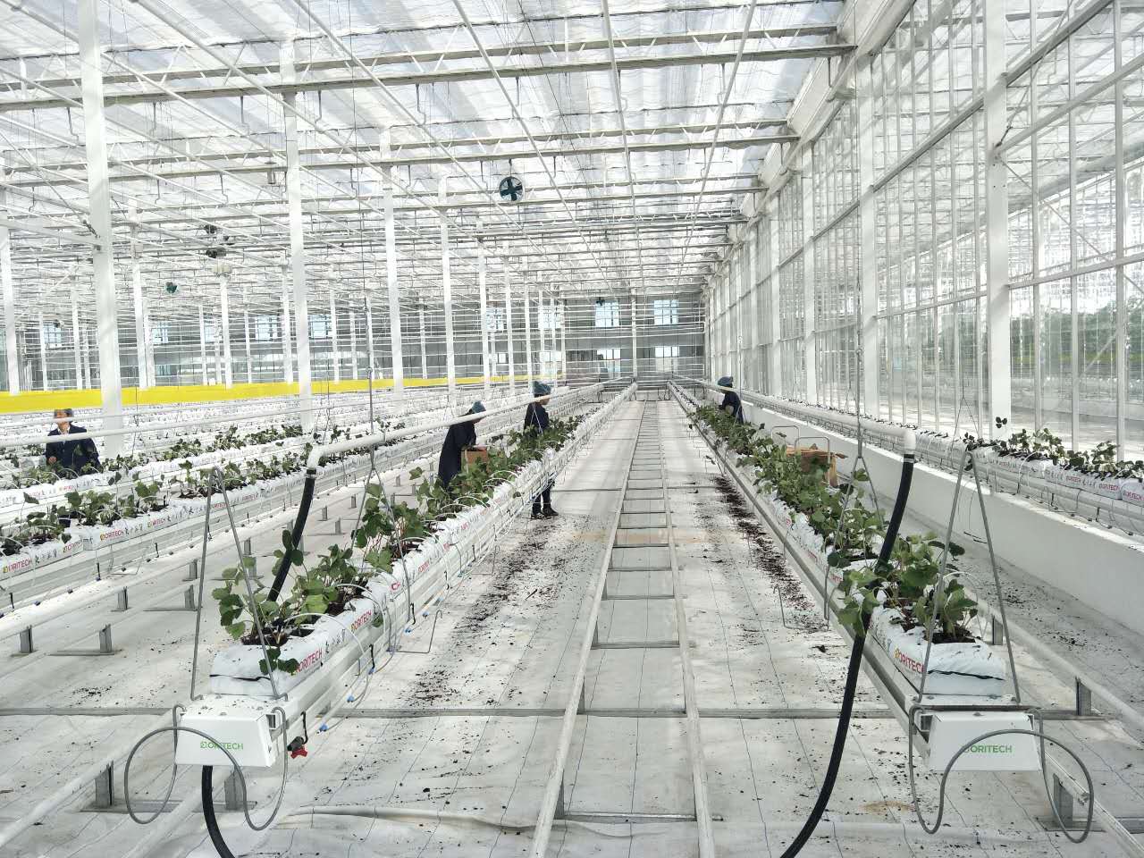 ¿Dónde puede adquirir componentes de alta calidad para sistemas de riego para invernadero?