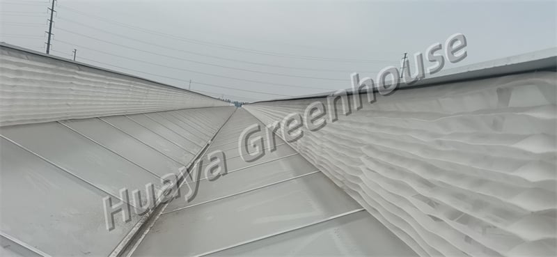 孟电碳中和项目cea7aa_1.jpg