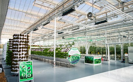 Greenhouse Column