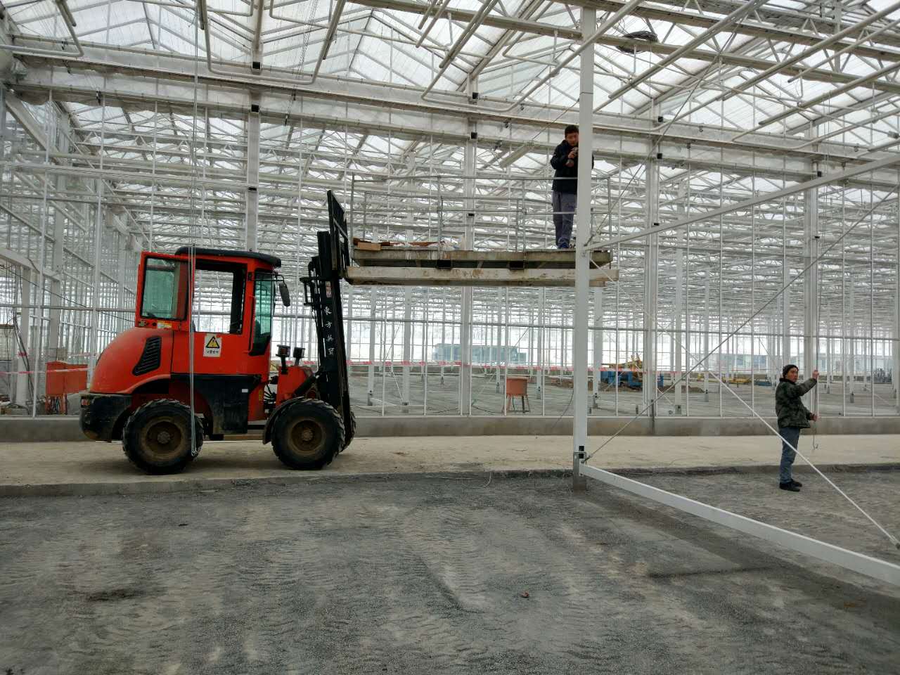 Cómo optimizar el entorno de su invernadero mediante una ventilación eficaz