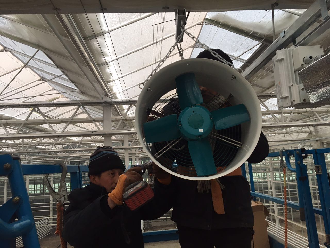 ¿Dónde comprar al por mayor ventiladores solares para ventilación de invernaderos de alta calidad?