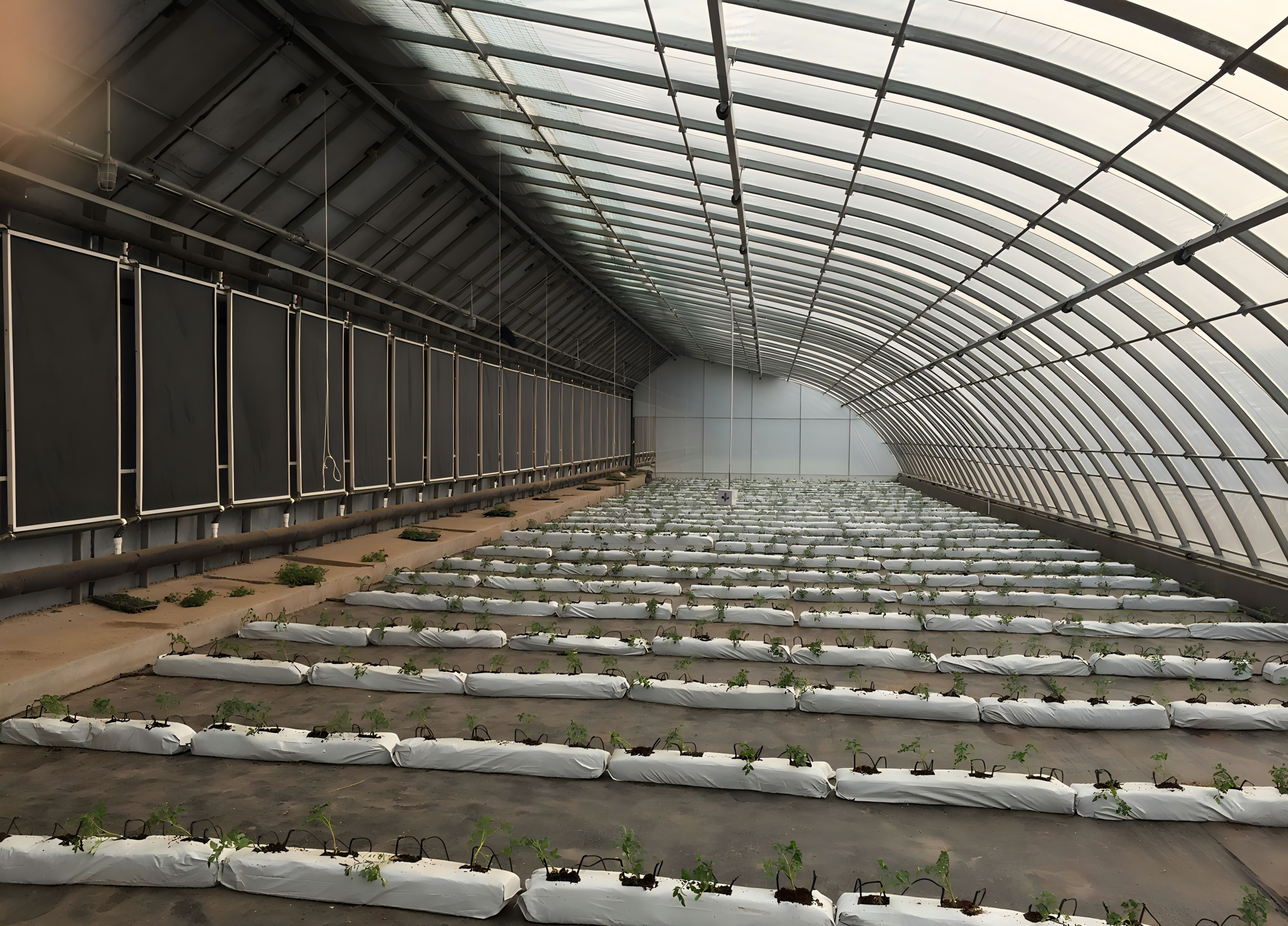 What Are Common Issues with Solar Greenhouse Ventilation and How to Solve Them?