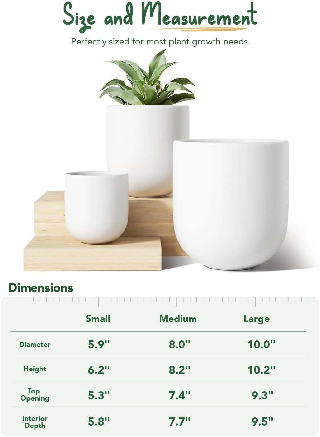 custom flower pot.webp