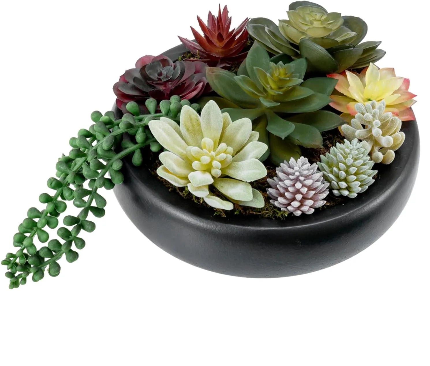Custom Cactus Flower Plant Pots indoor Cement