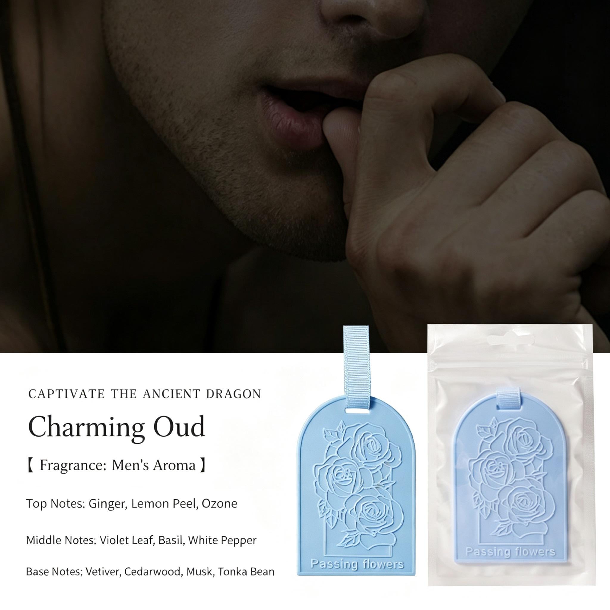 car fragrance perfume.jpg