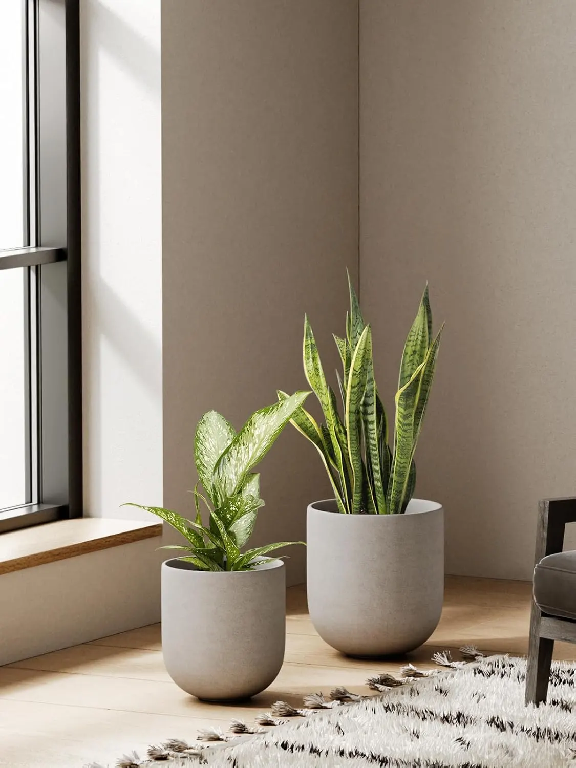 plant pots.webp