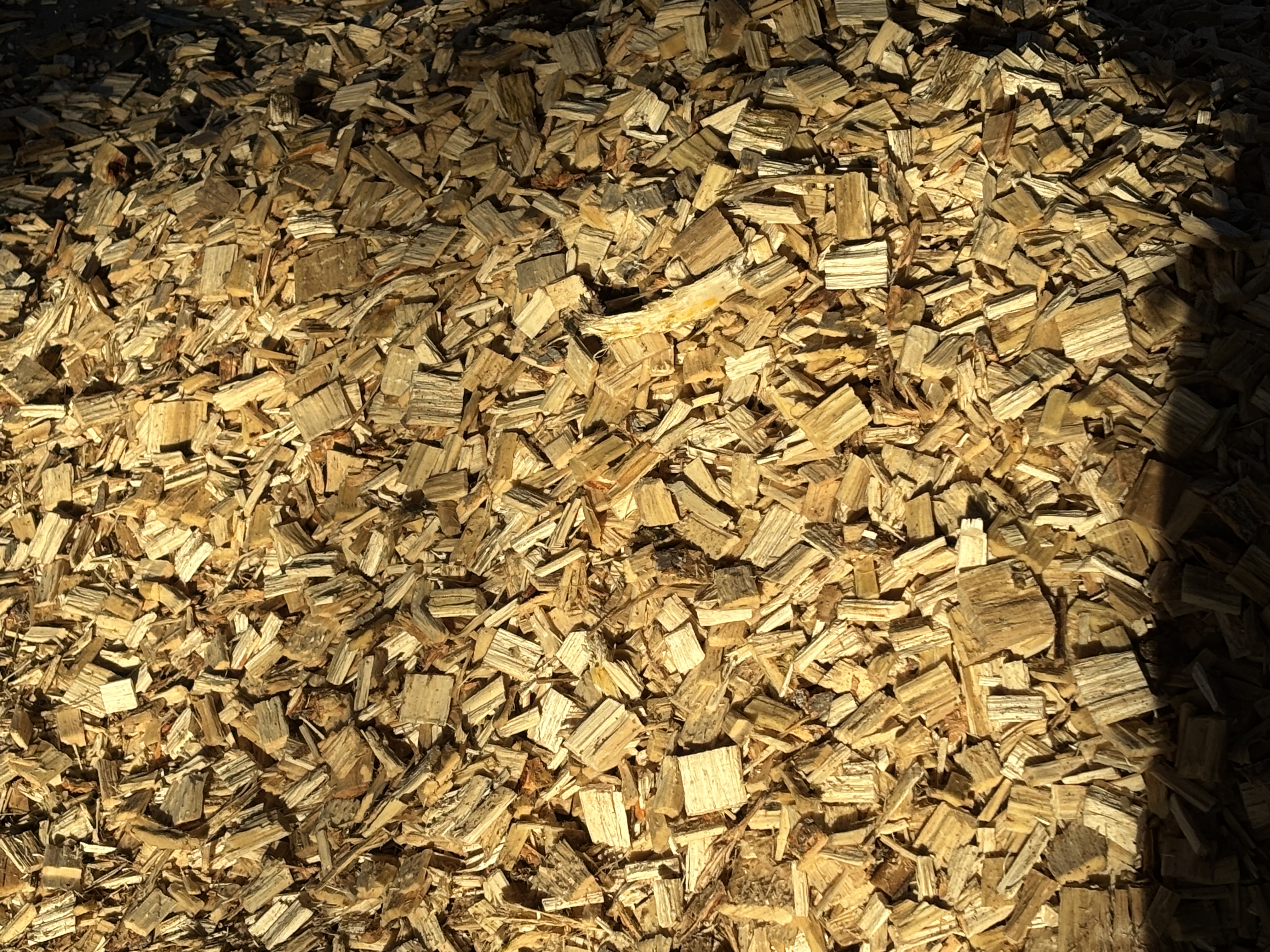 wood chips.png