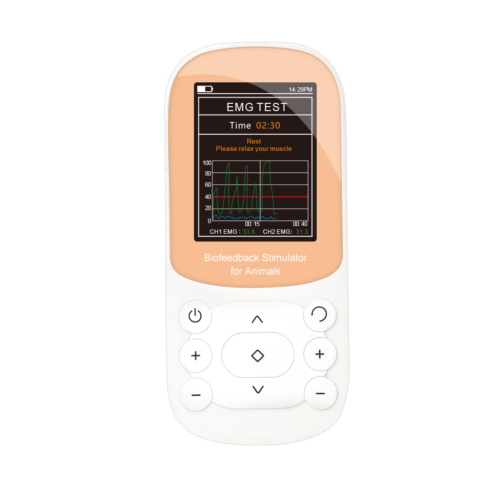 Appareil de traitement de la dysphagie KM250Pro avec biofeedback