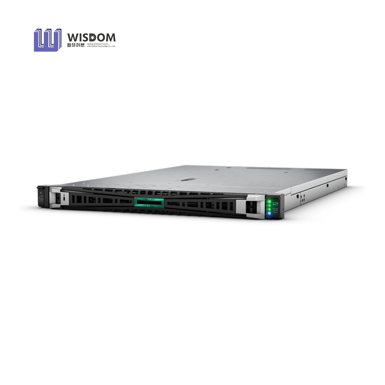 HPE ProLiant DL325 Gen11 1U Rack Server