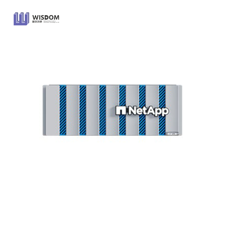 Netapp AFF A30 Storage