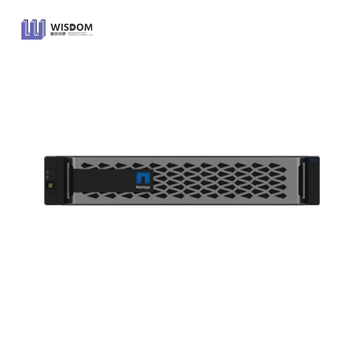 Netapp EF300C Storage