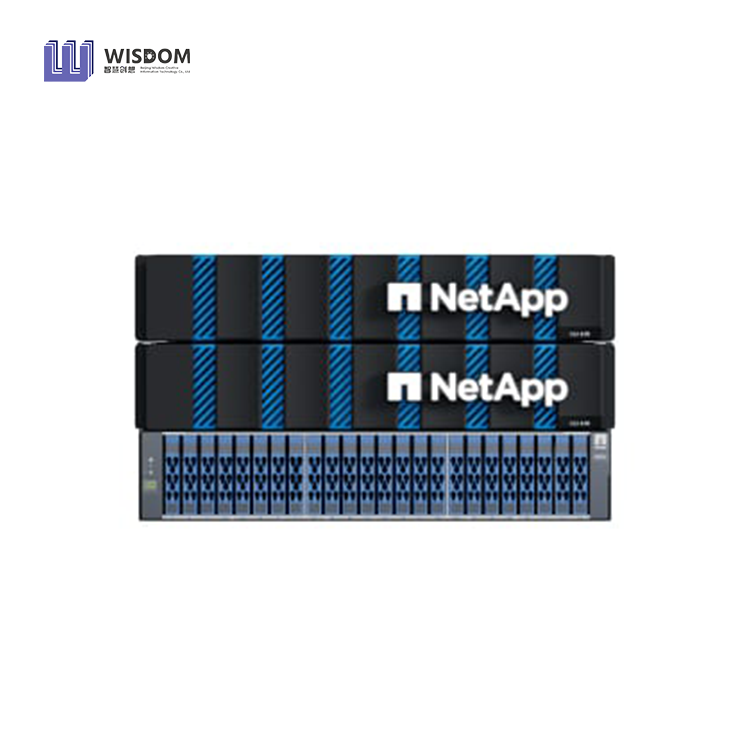 Netapp ASA A1K Storage