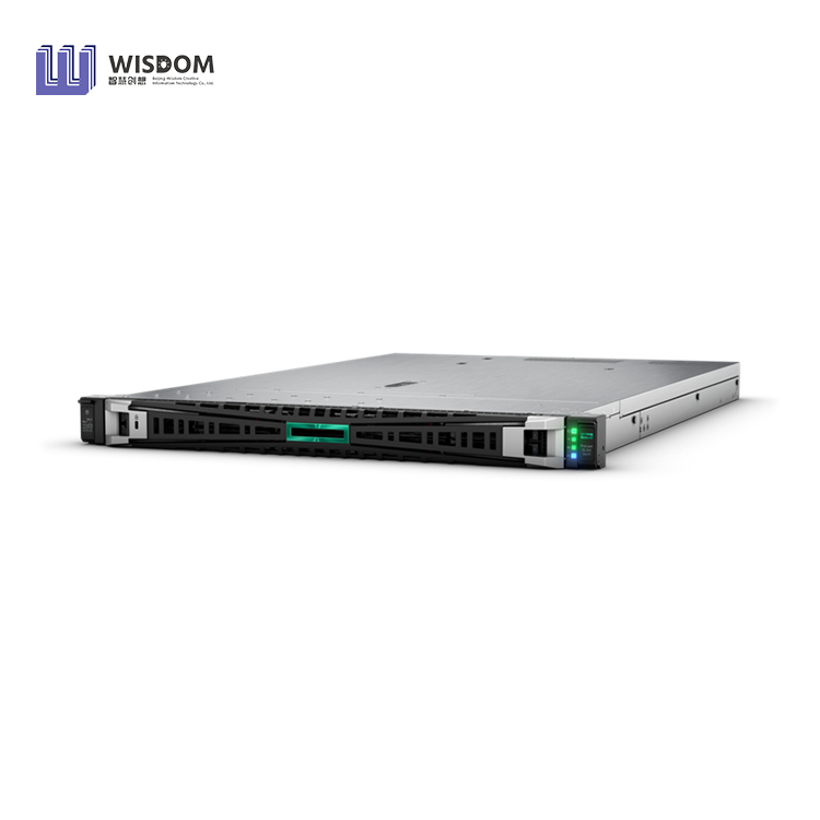HPE ProLiant DL365 Gen11 1U Rack Server