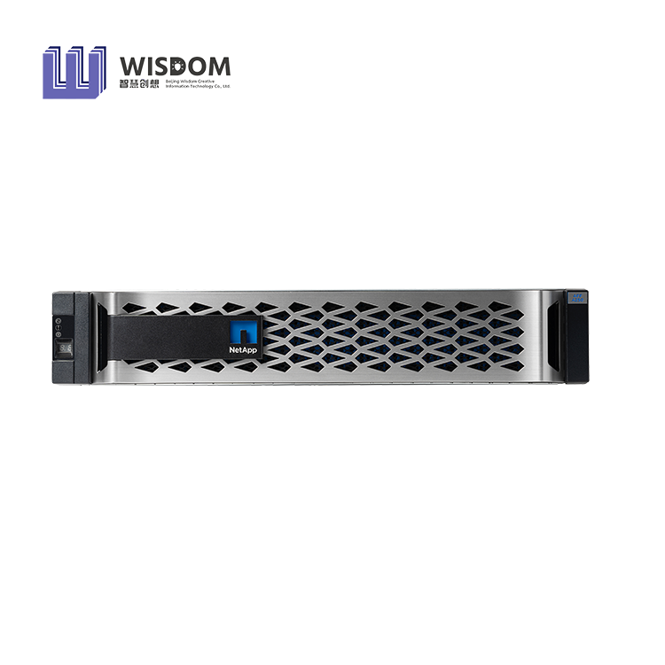 Система хранения Netapp AFF A250 All-flash