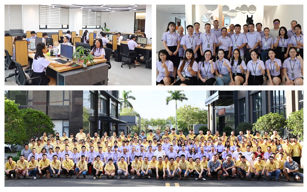 R&D design and sales team