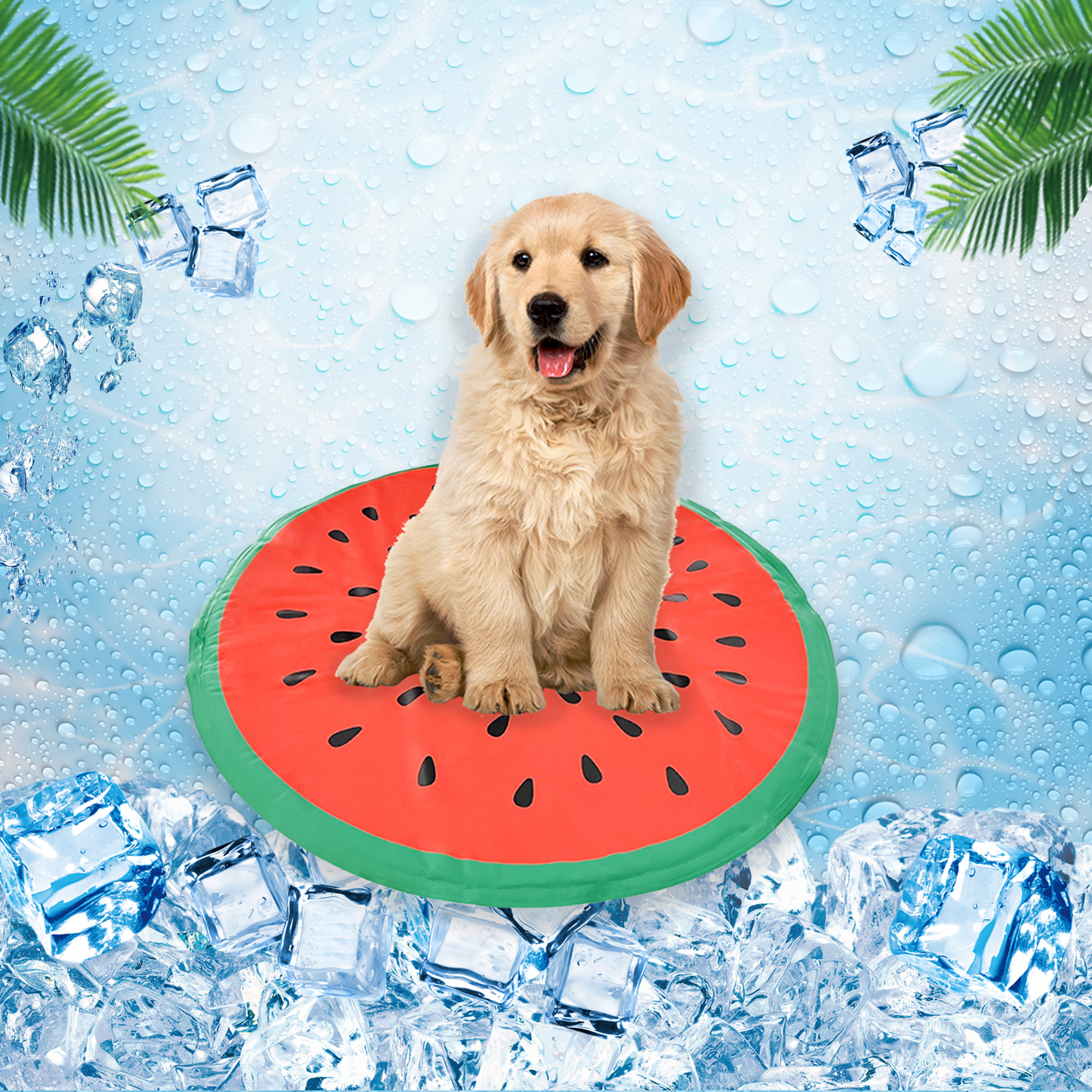 Non-Toxic Gel Technology with Waterproof Protection