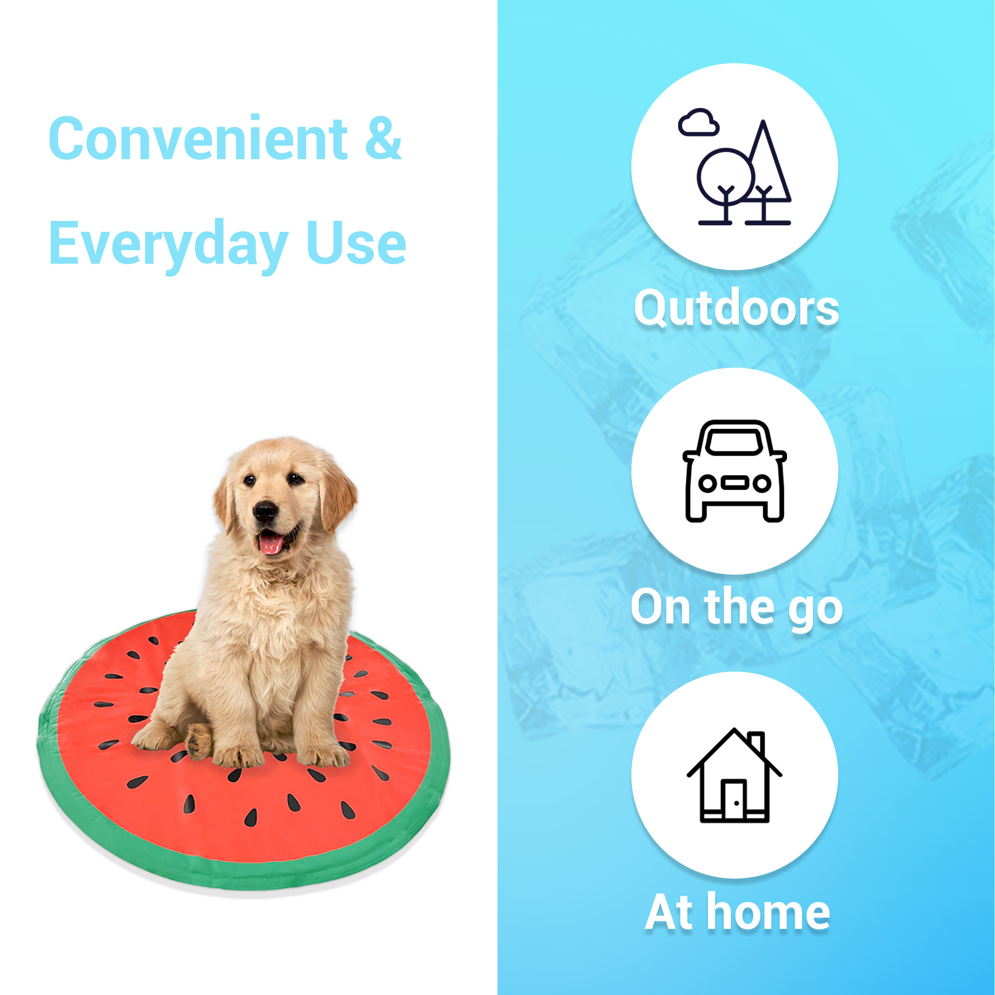 Spacious Design Perfect for Large Breed Dogs