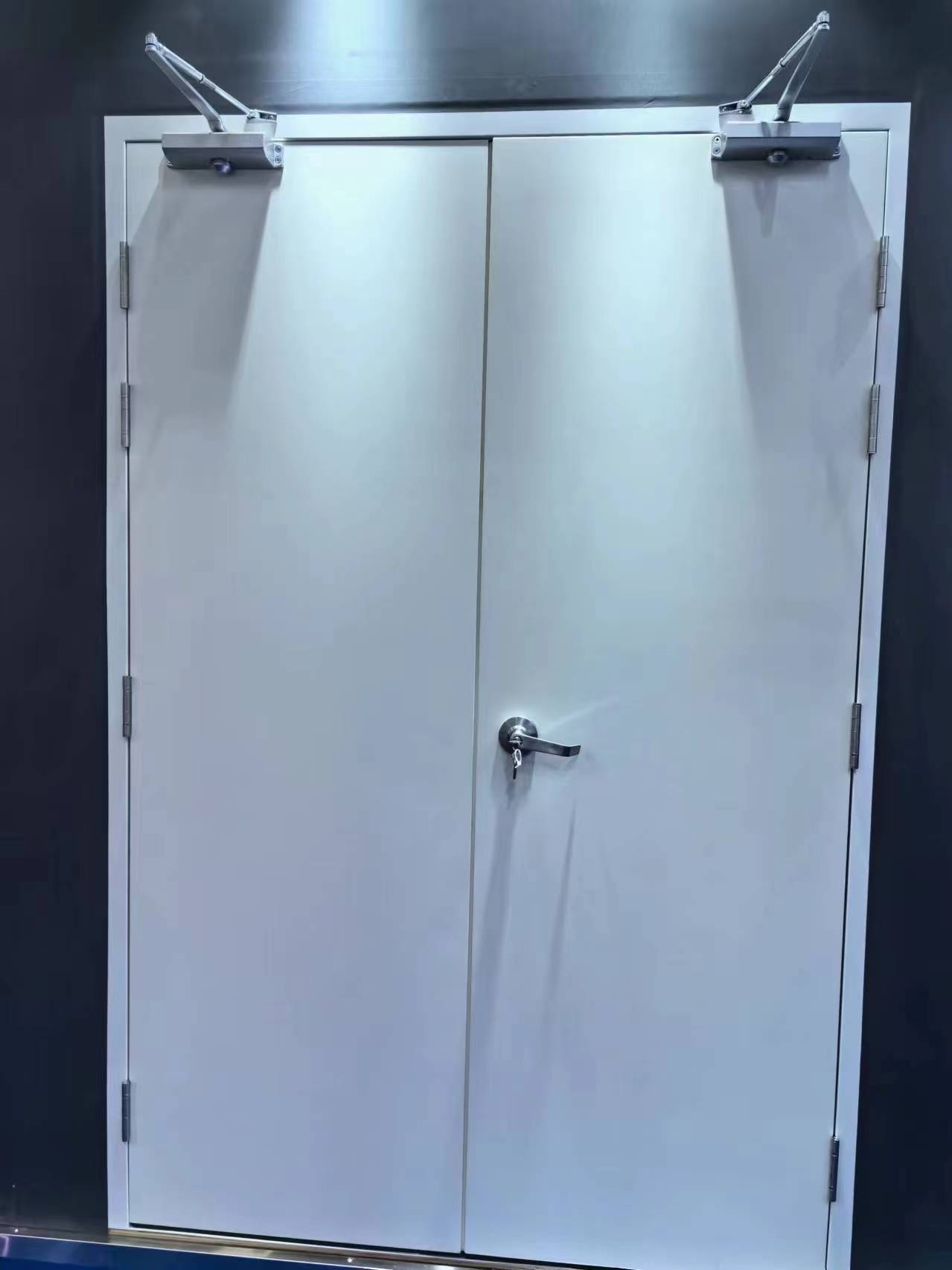 What Are the Differences Between Fire Doors and Regular Doors?