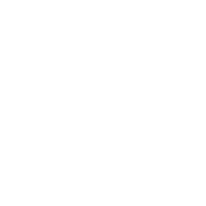 Technical Review & Process Development