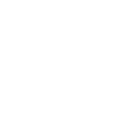 القيم