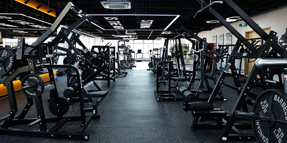 GYM EQUIPMENT & ACCESSORIES