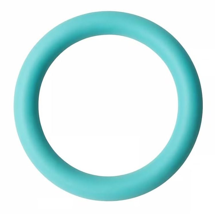 10 lb Resistance Training Exercise Weight Ring for Full Body Workout