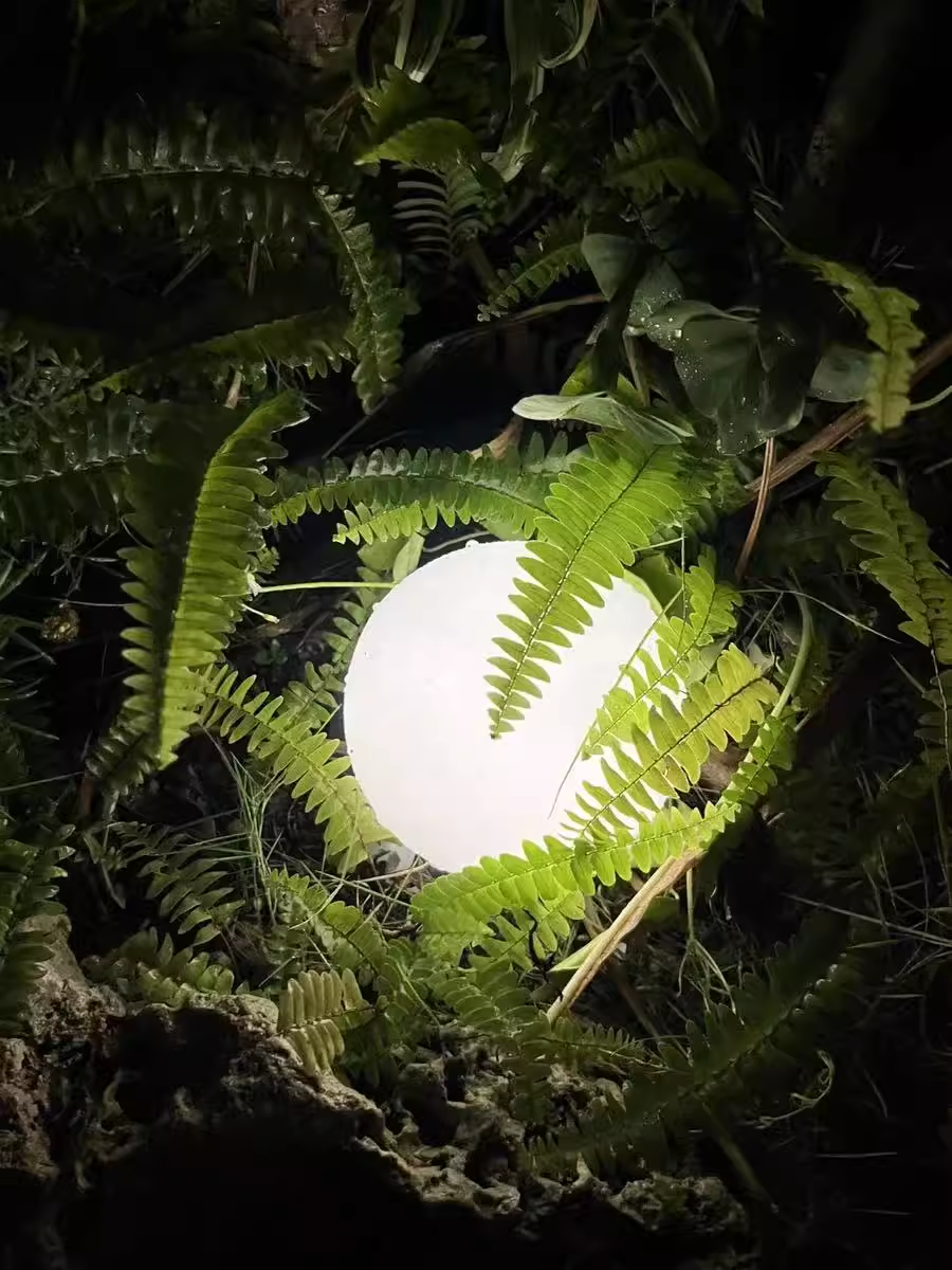 LED-balverligting – Die perfekte beklemtoning vir tuin- en grasperkverligting