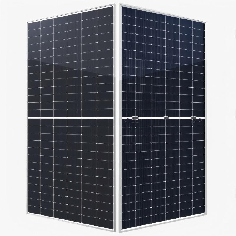 182 Mono-Bifacial GPM10TG(156).jpg