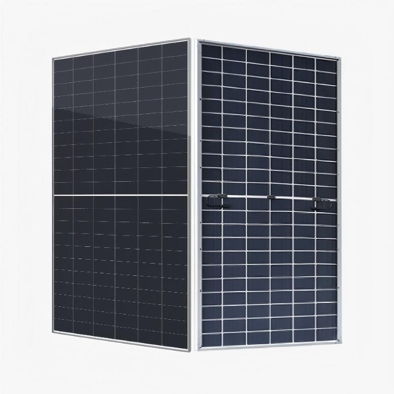 182 Mono-Bifacial GPM12RTG(132).jpg