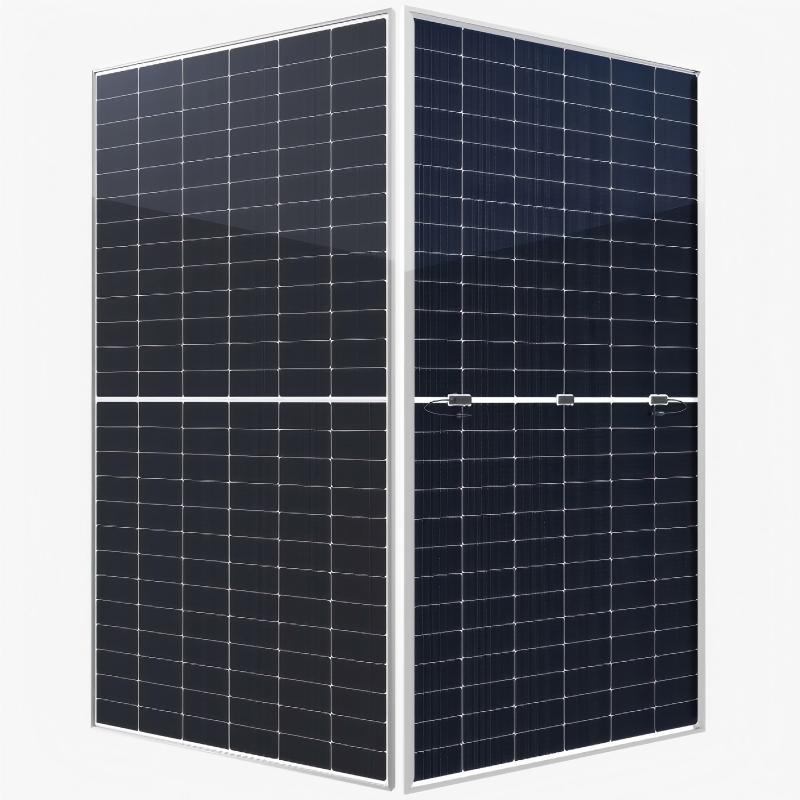210 Mono-Bifacial GPM12TG(156).jpg