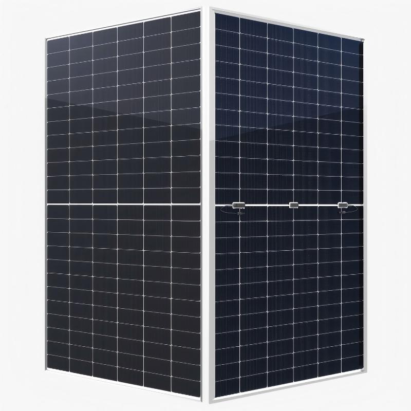 182 Mono-Bifacial GPM10TG(144).jpg