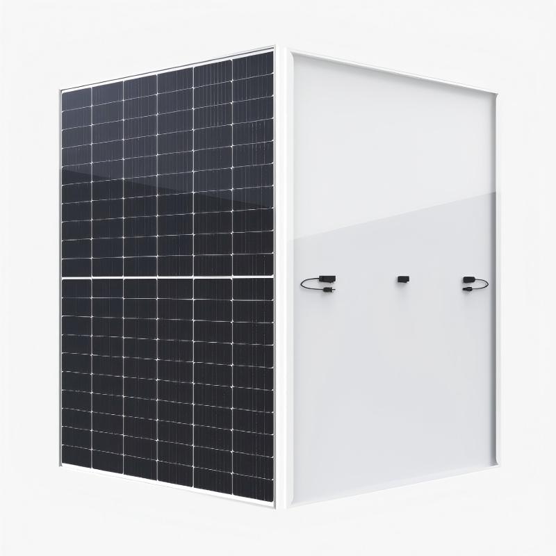 182 Mono-Facial module GPM10T(108)(98e10b6061).jpg