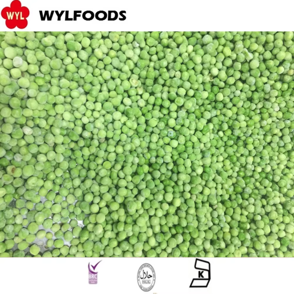 Premium Frozen Sweet Peas from WYLFOODS – Stable Supply, Custom Packaging & Export Expertise